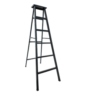 MS Ladder